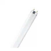 Osram L 30W-840 G13