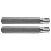 Končni pokrovček TORX T50 x 75 mm, S2 x 2 kosa 10-946