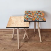 Hanah Home Set klub stocica 2Shp515, 2 komada, Šareni