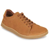 El Naturalista ORIGEN N5910L Kostanjeva