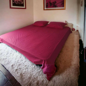 Caršav Ranforce singl ležaj ciklama ( VLK000536-Ciklama )