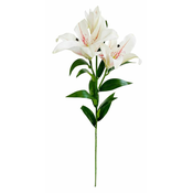 Shishi Lilija bela, 86 cm