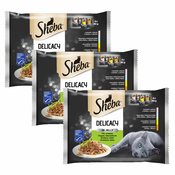 Sheba Delicacy vrečke za mačke, mešan izbor hran v želatini 3x(4x85 g)