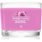 Yankee Candle Komplet votivnih sveč v steklu iz jantarja in sandalovine 3x37 g