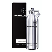 Montale Paris Ginger Musk parfumska voda 100 ml unisex