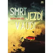 Smrt jezdí v Audi