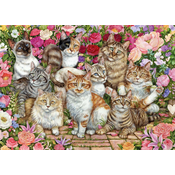 Falcon - Puzzle Cvjetne macke - 1 000 dijelova