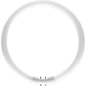 OKROGLA FLUORESCENTNA CEV 2GX13 22W/840 T5 D230 5941029896692
