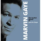 WARNER GAYE M.- LP/THE SOULFUL MOODS OF MARVIN GAYE, (20997531)