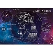 Interdruk - Puzzle Zodiak - Vodnar 250 - 250 kosov