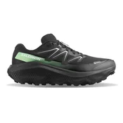 Salomon  Ultra Flow 2 Gtx  pisana
