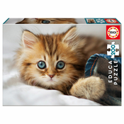 Kitten puzzle 300pcs