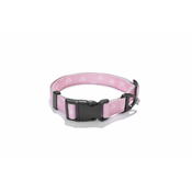 Ovratnica EXPLORER DOG Rainbow L - 41-66x2,5 cm