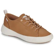 Palladium PALLANOVA LO LTH Kostanjeva
