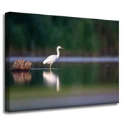shumee Platno s sliko Živali Bela čaplja 40x30 cm