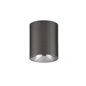 ANETO STROPNI REFLEKTOR SREBRNA LED 10W 600lm 3000K IP20 NL9695153