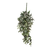 Dekordom 953284 Cvet tradescantia 80cm - green - edl ( 040455 )