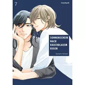 Sonnenschein nach rauchblauem Regen - Band 7