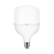 Braytron LED sijalica BRY-ADVANCE-50W-E27-T140-PLS-6500K