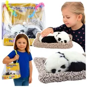Ljubka speča panda na blazini