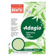 Kopirni papir u boji Rey Adagio - Bright Green, A4, 80 g, 100 listova