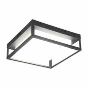 Zunanja stenska svetilka LED (višina 10 cm) Witham - Trio