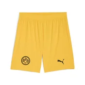 PUMA Borussia Dortmund 25/26 Shorts Men, Sport, Yellow Sizzle, XL