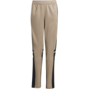 Hlače adidas SQUADRA25 TR PNT Y