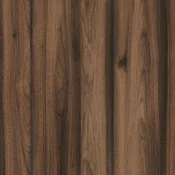 32339AN IVERAL OREH TORTORA 19mm