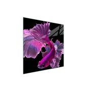 shumee Steklena zaščitna plošča za štedilnik 50x52 Fish