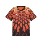 PUMA Goalkeeper Concept Jersey Men, Sport, Hot Heat/Black, M