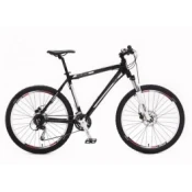 POLAR Avalanche Disk 26