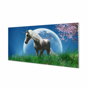 tulup.si Stenska plošča za kuhinjo Polje samorog luna 125x50 cm