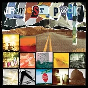 Forest Pooky - Cover Stories (LP)