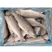 Brancin, očiščen, 300-400 g, 5 kg zm.