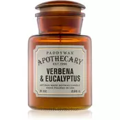 Paddywax Apothecary Verbena & Eucalyptus dišeča sveča 226 g