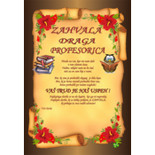 PRIZNANJE PROFESORICA