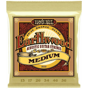 Ernie Ball 2002 Earthwood