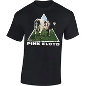 Pink Floyd Atom Heart S