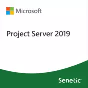 Project Server 2019