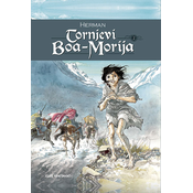 Tornjevi Boa-Morija 2