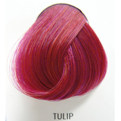 Barva las DIRECTIONS - Tulipan