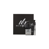 Burberry Mr. Burberry toaletna voda za muškarce