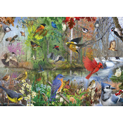 Cobble Hill - Puzzle Birds of the Season - 1 000 kosov