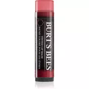 Burt´s Bees Tinted Lip Balm balzam za ustnice odtenek Red Dahlia 4 25 g