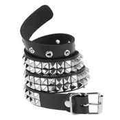 Tihi rebelijonski pas - LSF2 63
