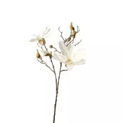 MAGNOLIJA