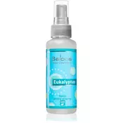 Saloos Natur Aroma Airspray Eucalyptus sprej za dom 50 ml