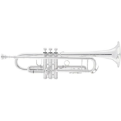 Trobenta 2055S Silver Flair King