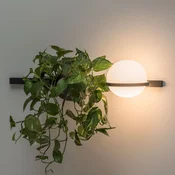 Vibia Palma 3702 stenska svetilka, lonček za rastline, grafit - Dnevna soba/jedilnica - Sodobni - Kovina